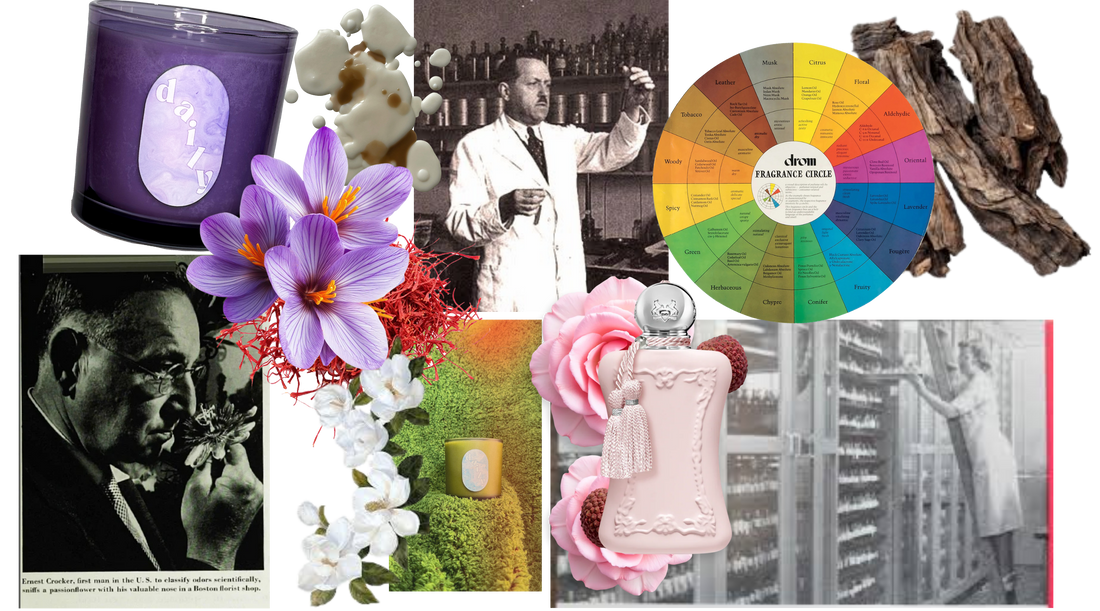on fragrance classification